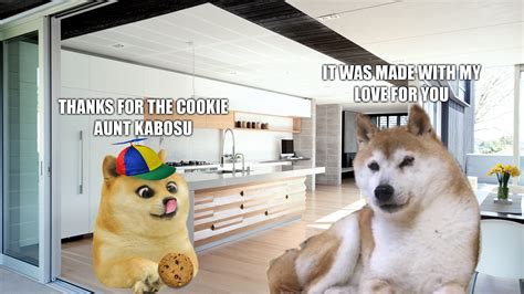 Le Wholesome Kabosu Meme Has Arrived Rdogelore