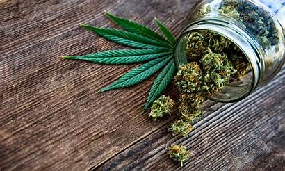 Marijuana States Cannabis Likely Legalize Pot Affairs
