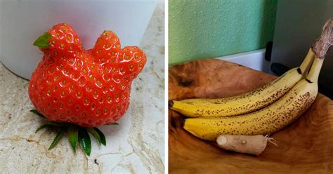 30 Fruits And Vegetables That Look Like Other Things Demilked