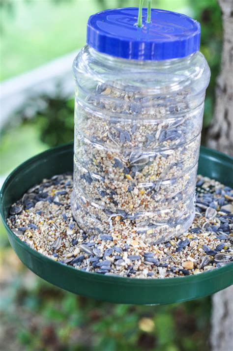 An Upcycled Bird Feeder Suburble