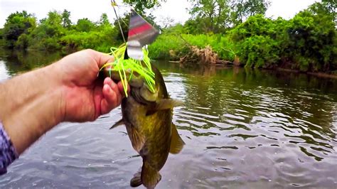 Topwater Smallmouth Bass Fishing Small River Skinny Water Explosive