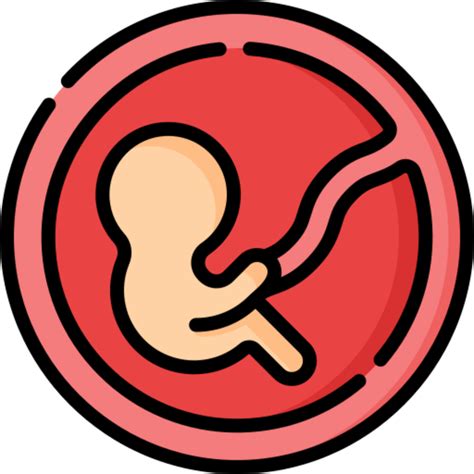 Fetus Icon Design 29198679 Png