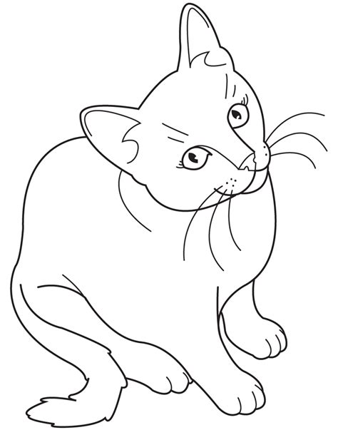 Realistic Cat Coloring Pages For Adults Douroubi