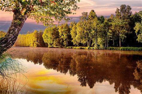 Beautiful Pond Landscape During Sunrise Image Free Stock