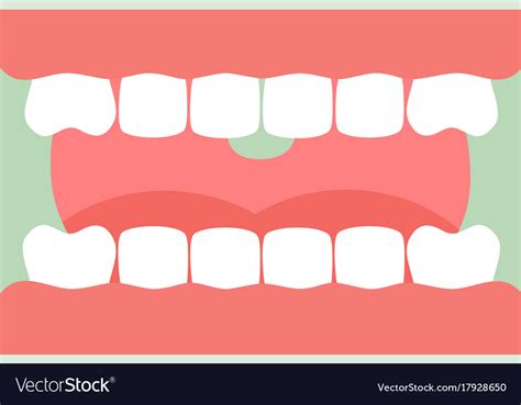 Open Mouth With Healthy Teeth And Tongue Vector Image