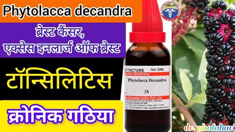 Phytolacca Decandra Uses In Hindihomeopathy Medicine Phytolacca
