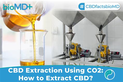 Cbd Extraction Co2 How To Extract Cbd For Potency And Effectiveness