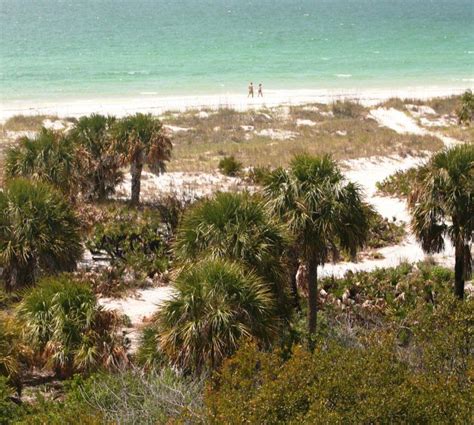 13 Reasons To Drop Everything And Visit Caladesi Island State Park In