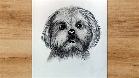 How To Draw A Maltese Dog Step By Step Pencil Drawing Tutorial Youtube
