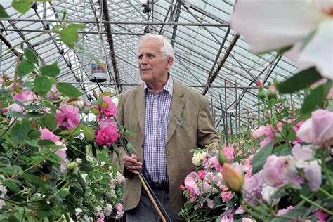 David Austins Guide To English Roses