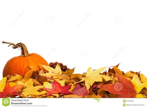 Autumn Border With Pumpkin Royalty Free Stock Image Image 27278616