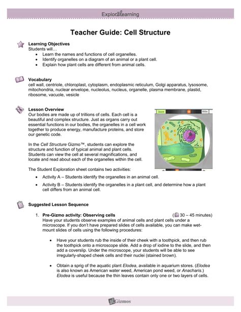 Cell wall, centriole, chloroplast, cytoplasm, endoplasmic reticulum, golgi apparatus the cell structure gizmo™ allows you to look at typical animal and plant cells under a microscope. GIZMO Cells teacher Guide