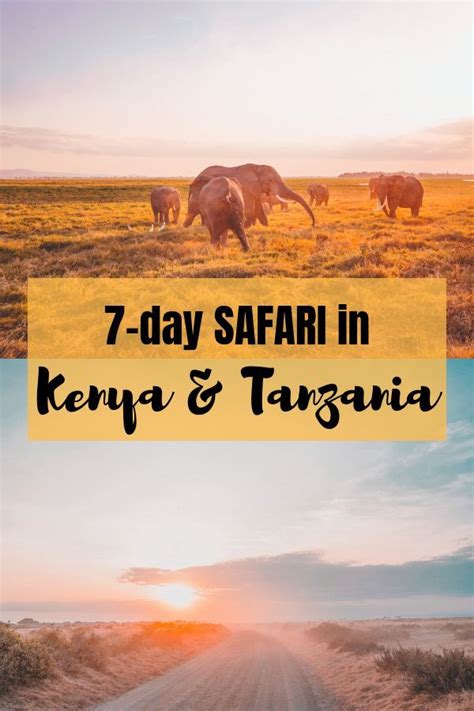 Learn More About Safaris In Kenya And Tanzania Our African Safari