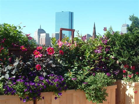 Tips For Creating A Great Rooftop Garden Ask The Expert Gardening