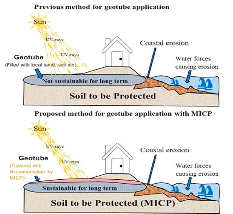 Proposed Coastal Erosion Protection Method Download Scientific Diagram