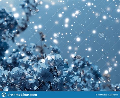 Christmas New Years Blue Floral Nature Background Holiday Card Design