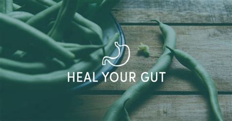 The Foods And Supplements To Eat To Heal Your Gut Mindbodygreen