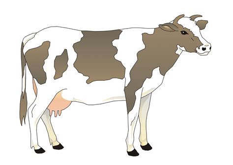 Illustration De Vache 4