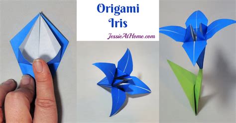 How To Make An Origami Iris Flower Step By Best Flower Site