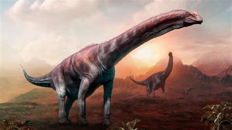 100 Million Year Old Bones Of Sauropod Dinosaurs Discovered In