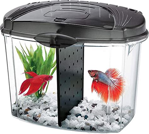 Aqueon Betta Bowl Kit Black 5 Gallon Everything Else