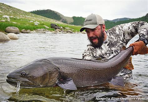 Top 5 Reasons To Visit Mongolia The Fly Shop