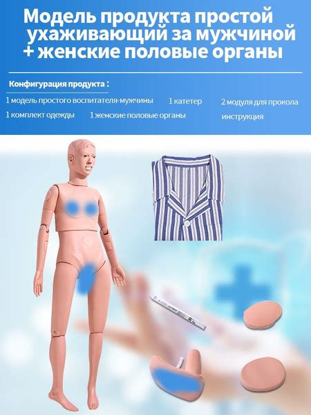 Многофункциональные медицинские манекены для медицинских исследований ...