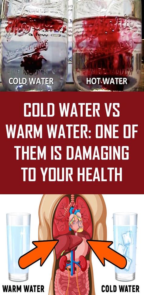Cold Water Vs Warm Water One Of Them Is Damaging To Your Health