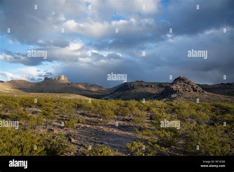 Arizona Rain Desert Hi Res Stock Photography And Images Alamy