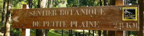 Plaine Des Palmistes Le Sentier Botanique De La Petite Plaine Et Les