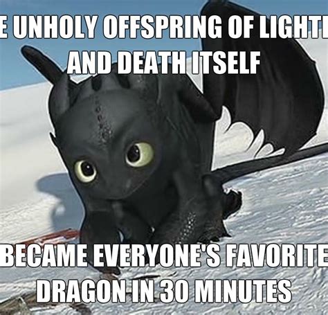 Pin By Alayna Meadows On How To Train Your Meme How Train Your Dragon How To Train Dragon