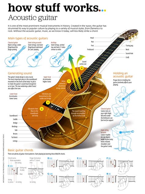 How Acoustic Guitar Works Infographics Tab And Chord