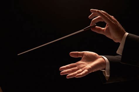 Orchestration (countable and uncountable, plural orchestrations). History of the Conductor's Baton | ThePiano.SG