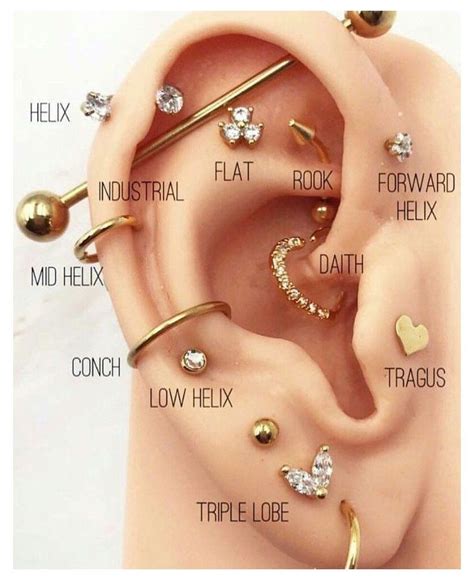 A Comprehensive Guide To Ear Piercing Chart Imamsrabbis