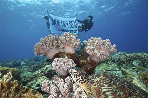 An Urgent Wake Up Call To Protect Our Oceans Huffpost