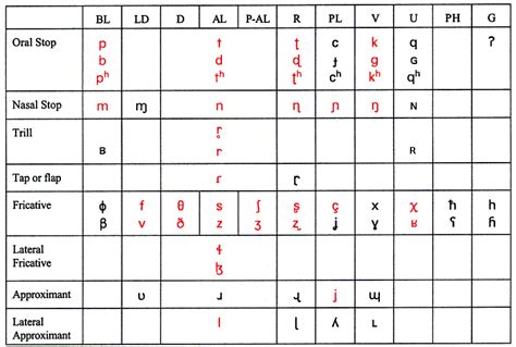 Macquarie University IPA Consonant Symbols Pulmonic Consonants