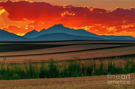 Rolling Hills At Sunset Photograph By Greg Summers Fine Art America