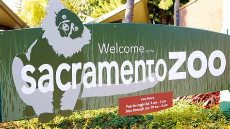 The sacramento zoo is a zoo located in william land park in sacramento, california. Sacramento Zoo in Sacramento, California | Expedia