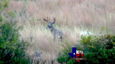 160 Class Whitetail Buck Spotted West Kerr Ranch Youtube