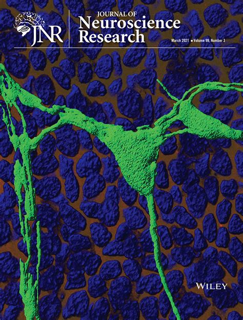 Mohan Lab Receives Cover Of Journal Of Neuroscience Research