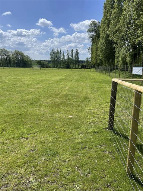 Waggy Tails Play Park - Dog Parks Near Me