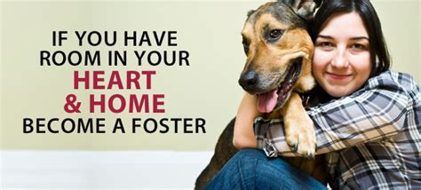 Foster A Pet ~ Save A Life Partnering For Pets