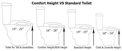 What Is The Height Of A Standard Toilet Tall Toilet For Elderly