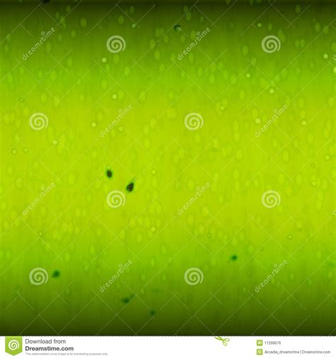 Green Apple Texture Royalty Free Stock Image Image 11299076
