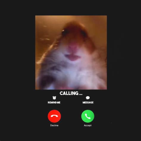 Dank Meme Hamster Staring Front Camera Shirt Dank Meme