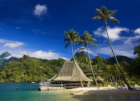 Tahiti Tropical Island Palm Trees Mountain Beach