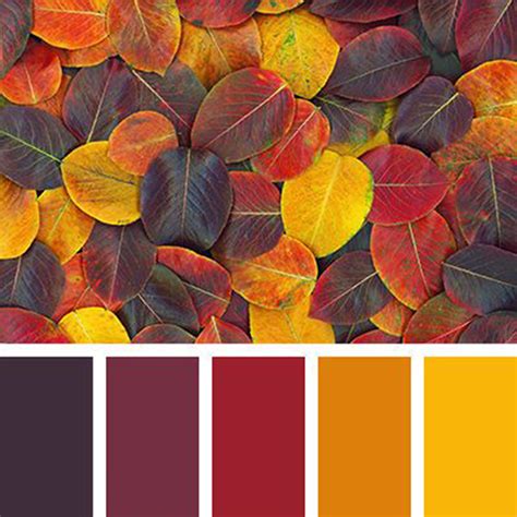 Lista 97 Foto Paleta De Colores Otoño Invierno 2021 Actualizar