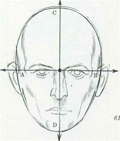 Head Rotation Drawing The Human Head Joshua Nava Arts