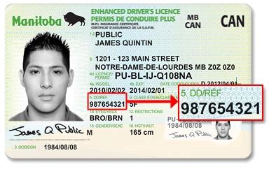 Do you need new car insurance with a learner's permit? Online Services - Verifying your Identity