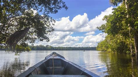 Región De Madre De Dios Senderismo Getyourguide